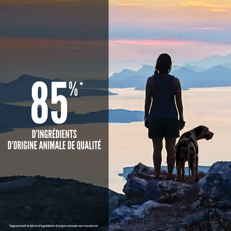 null - Product image 3.0